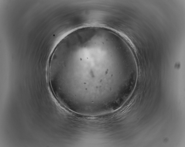 X0000095521295200712141438