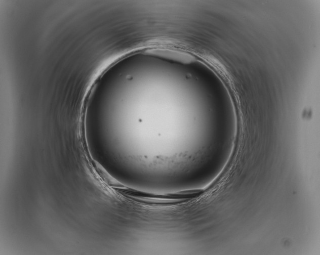 X0000095521296200712141438