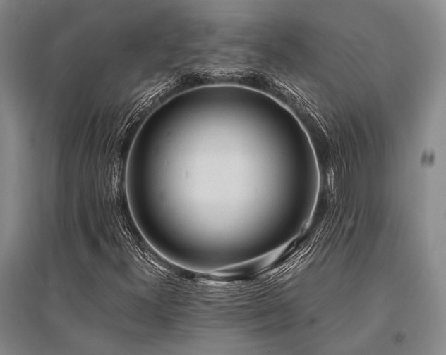 X0000095521300200712141437