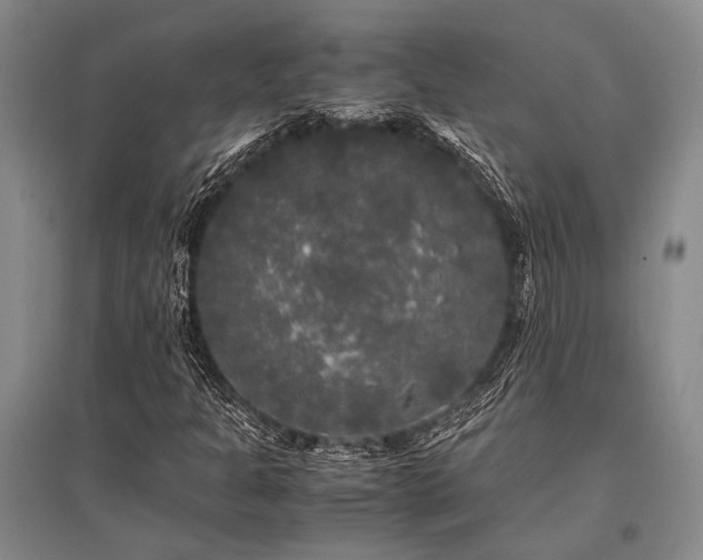 X0000095521301200712141437