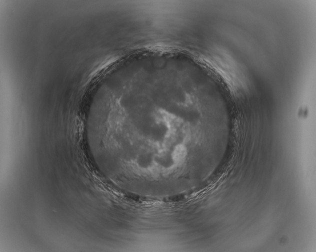 X0000095521302200712141437