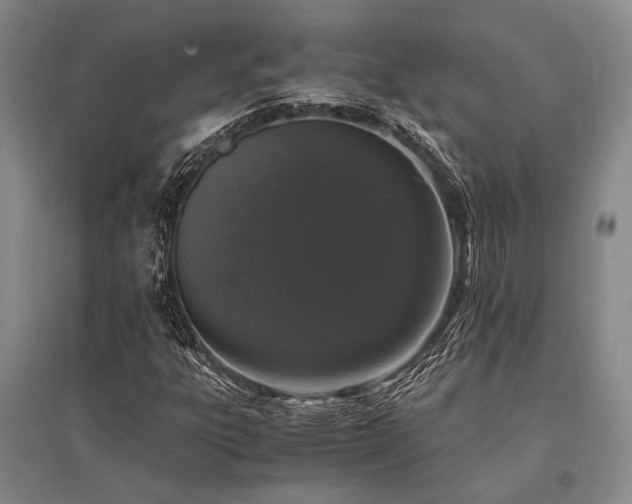 X0000095521303200712141437