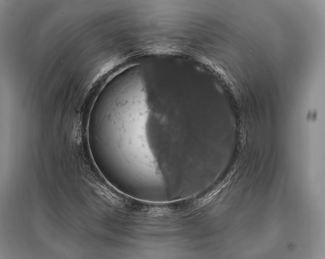 X0000095521306200712141437