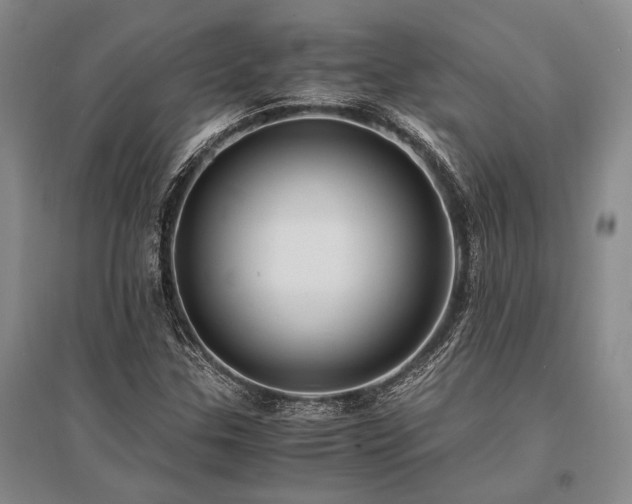 X0000095521307200712141437