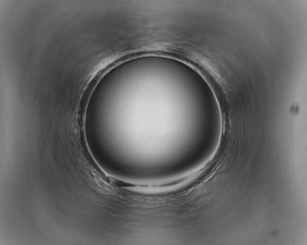 X0000095521308200712141437