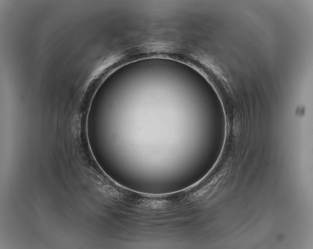 X0000095521309200712141437