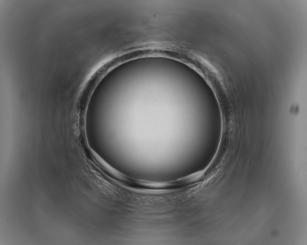 X0000095521310200712141437