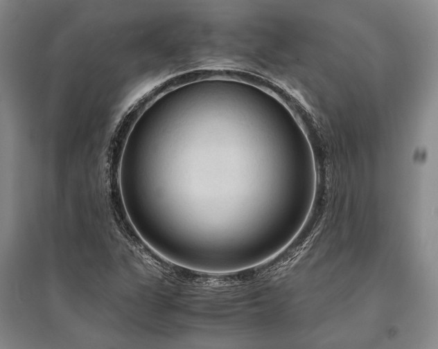 X0000095521311200712141437