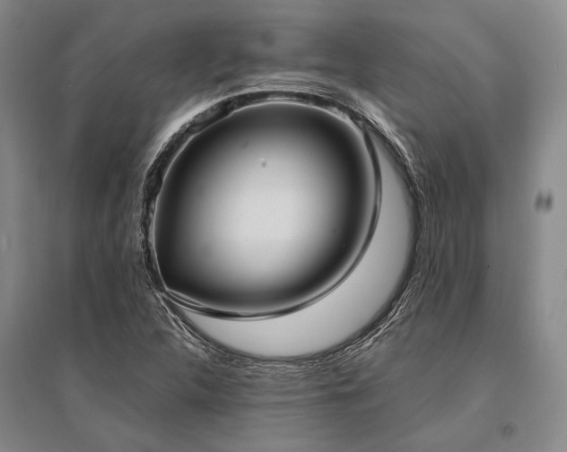 X0000095521312200712141437