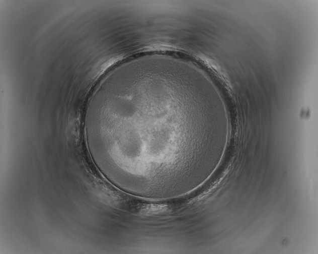 X0000095521313200712141437