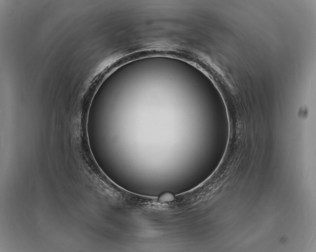 X0000095521315200712141437