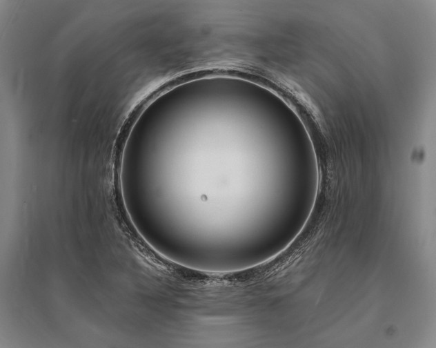 X0000095521316200712141437