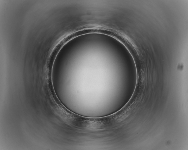 X0000095521318200712141437