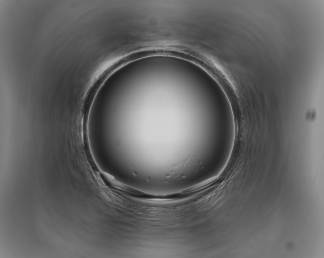 X0000095521320200712141437