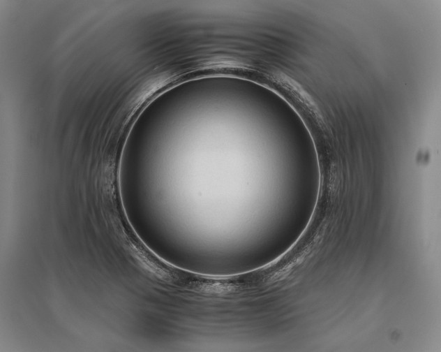 X0000095521321200712141437