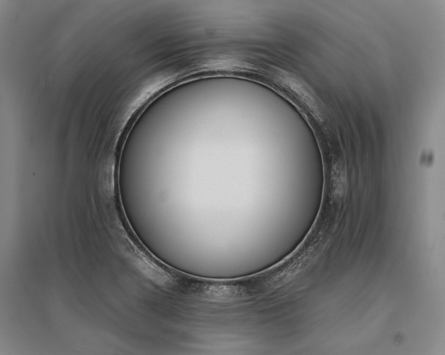 X0000095521322200712141437