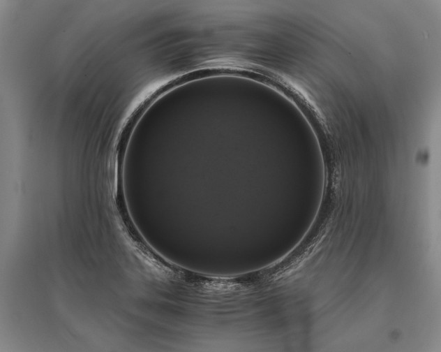 X0000095521323200712141437