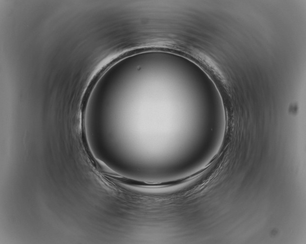 X0000095521324200712141437