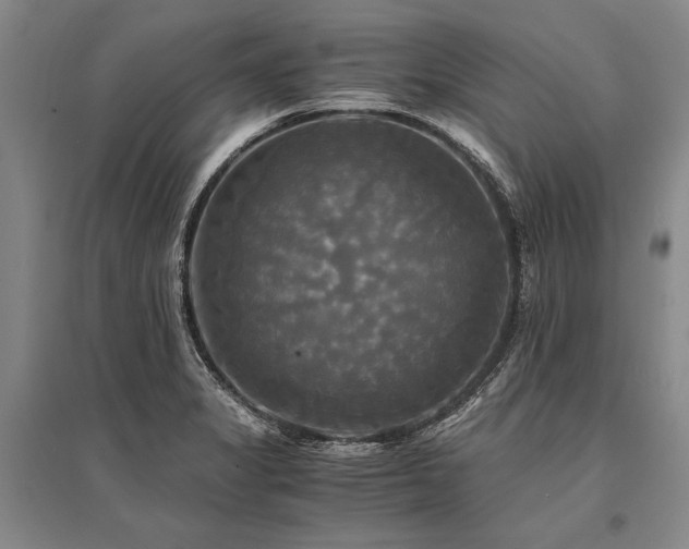 X0000095521325200712141437