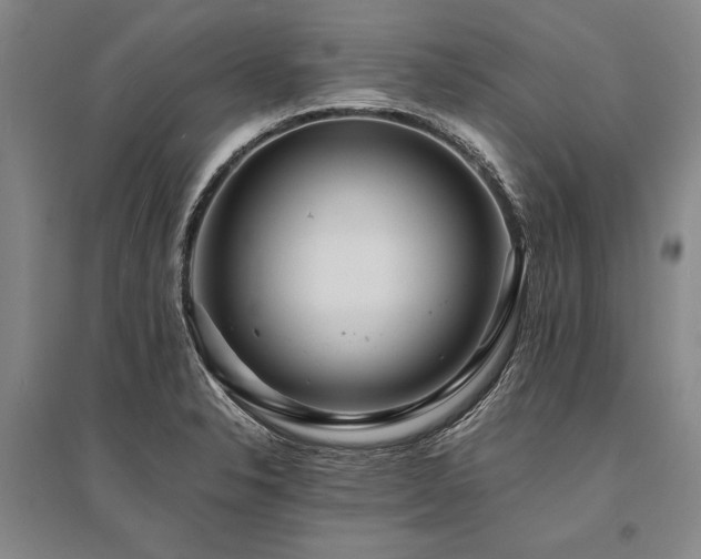 X0000095521326200712141437
