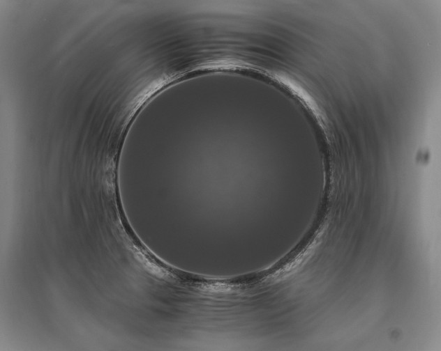 X0000095521329200712141437