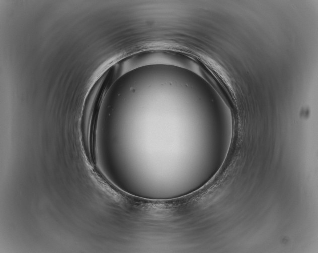 X0000095521330200712141437