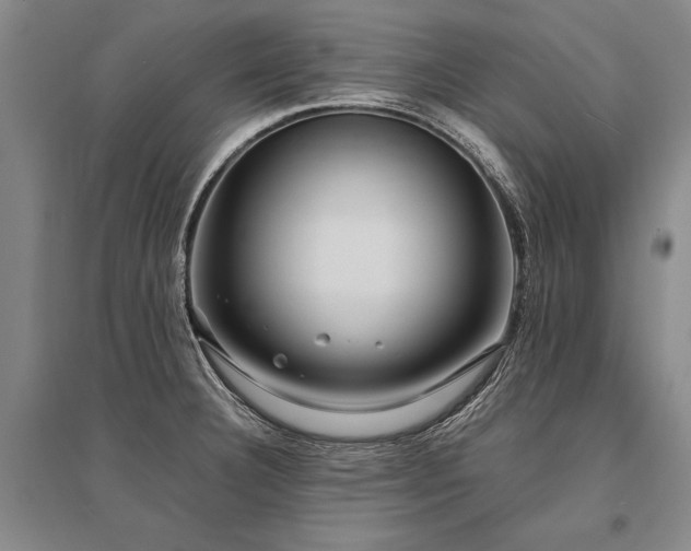 X0000095521332200712141437