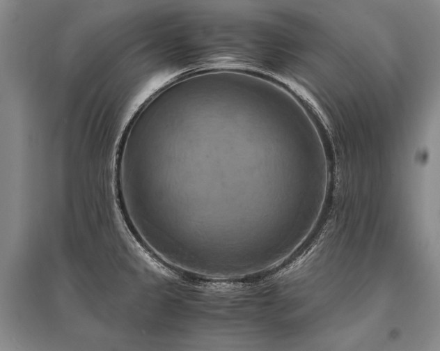 X0000095521333200712141437