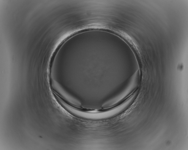X0000095521334200712141437