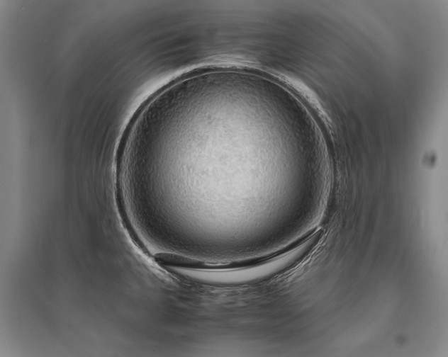 X0000095521335200712141437