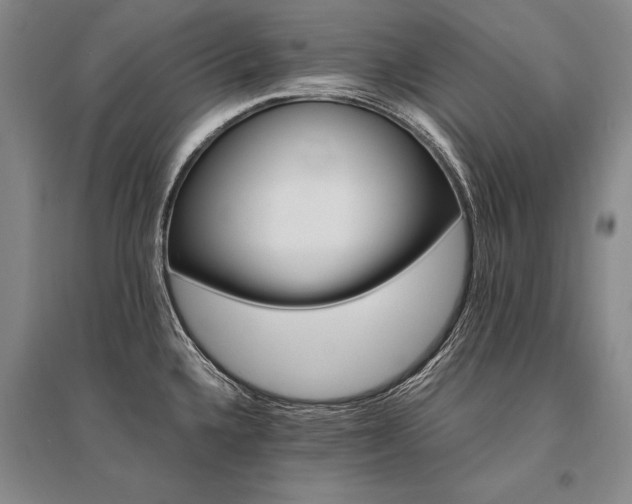 X0000095521336200712141437