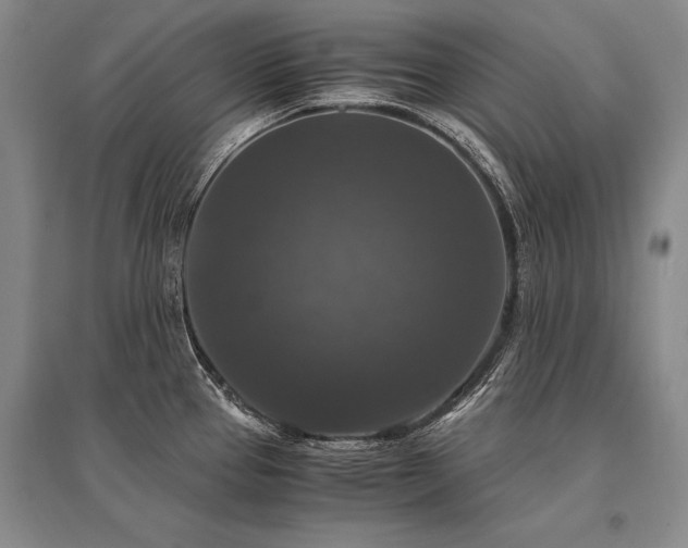X0000095521337200712141437
