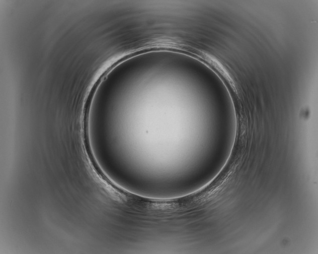 X0000095521339200712141437