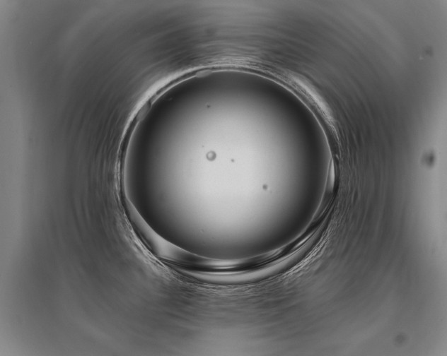 X0000095521340200712141437