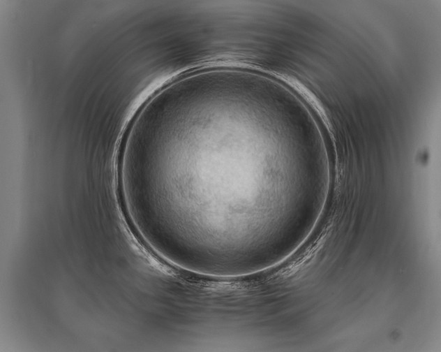 X0000095521341200712141437