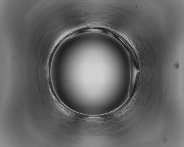 X0000095521342200712141437