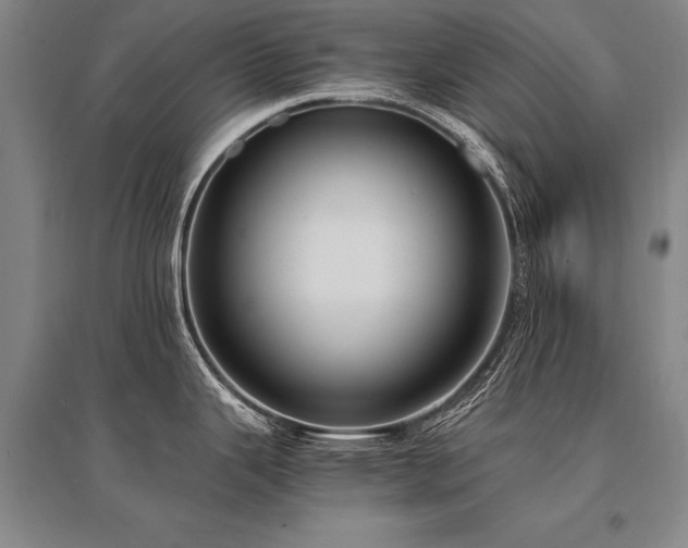 X0000095521343200712141437