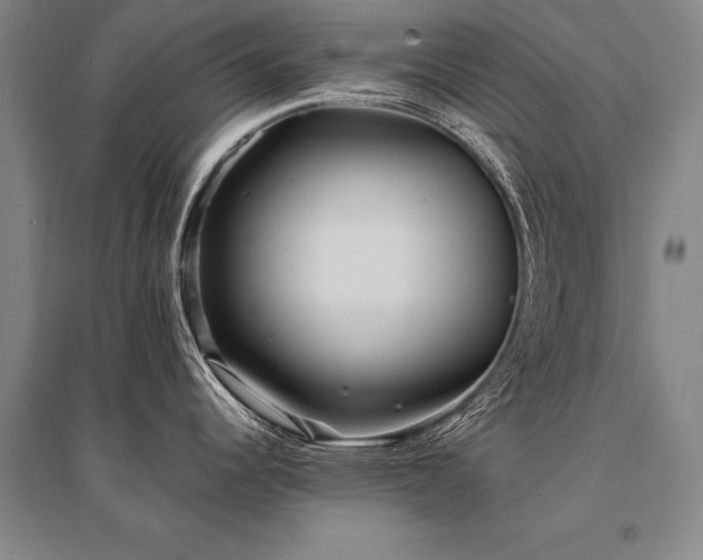 X0000095521344200712141437