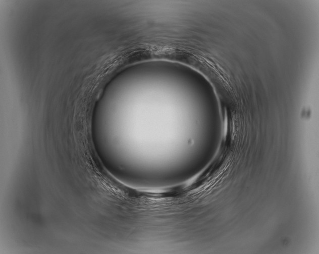 X0000095521345200712141437
