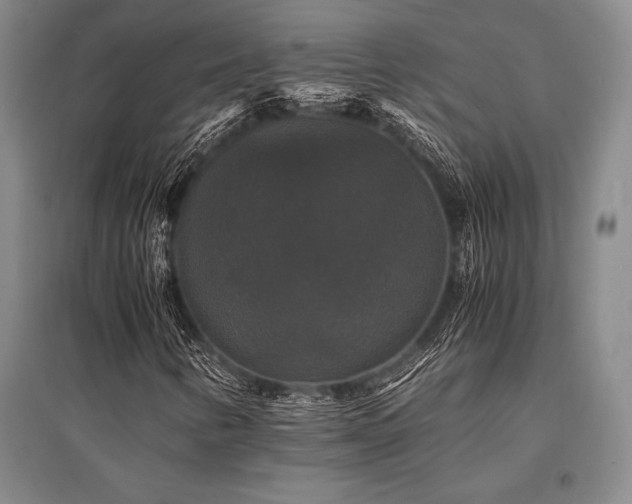 X0000095521346200712141437