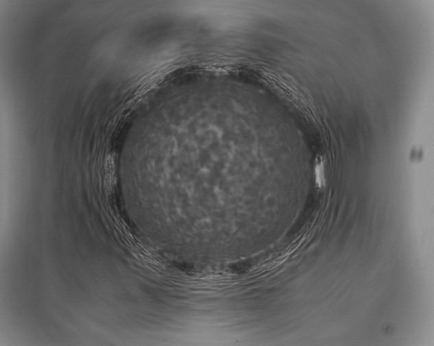 X0000095521347200712141437