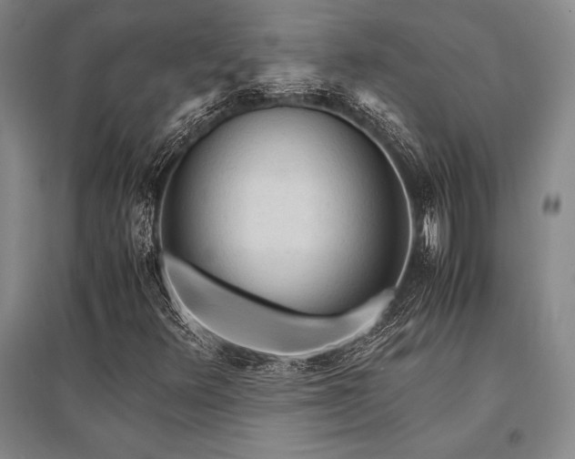 X0000095521348200712141437