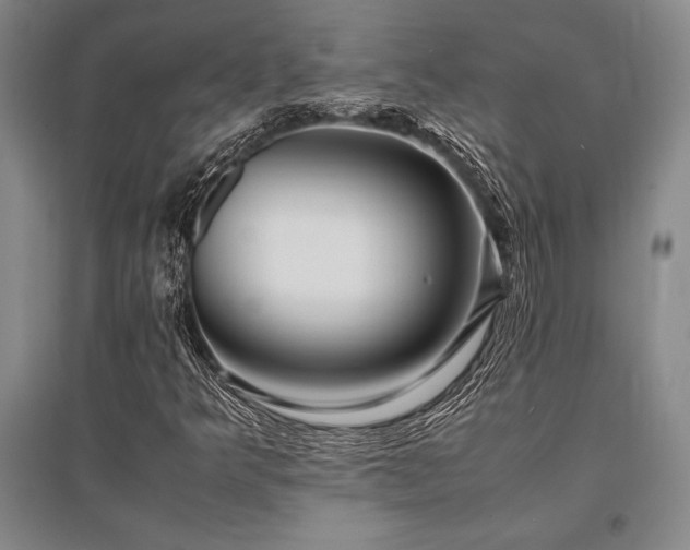 X0000095521349200712141437