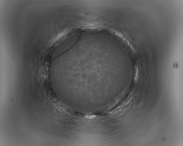 X0000095521350200712141437