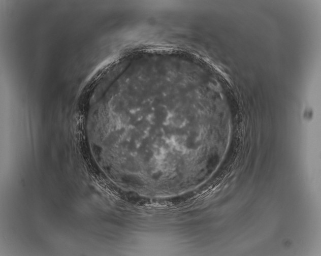 X0000095521351200712141437