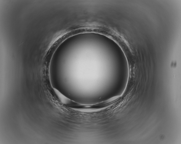 X0000095521352200712141437