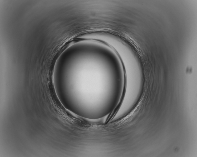 X0000095521353200712141437