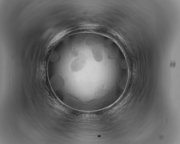 X0000095521354200712141437
