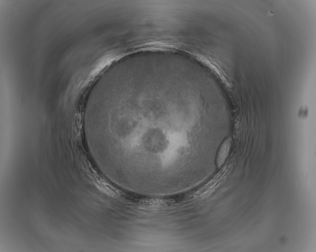 X0000095521355200712141437