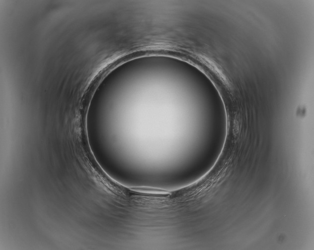 X0000095521356200712141436